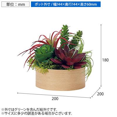 ベルク フェイクグリーン インテリアグリーン 卓上ポット 卓上間仕切りポット 観葉植物 人工 造花 GR4486 |  | 03