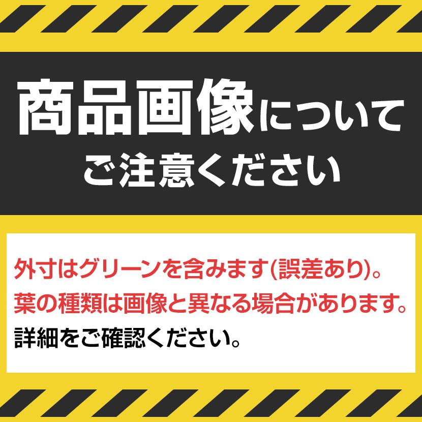 ベルク フェイクグリーン ウォールグリーン マグネットグリーン ポットタイプW600 人工 造花 GR4496 幅680×奥行200×高さ600mm |  | 01