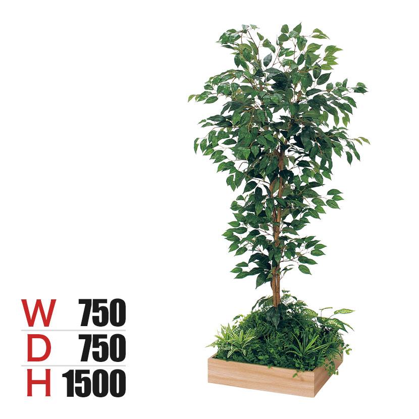 ベルク 土台プランター 450角 フィカスベンジャミン 国産 テーブル樹木 人工観葉植物 フェイクグリーン GR5122 幅750×奥行750×高さ1500mm オフィス 休憩室 | 