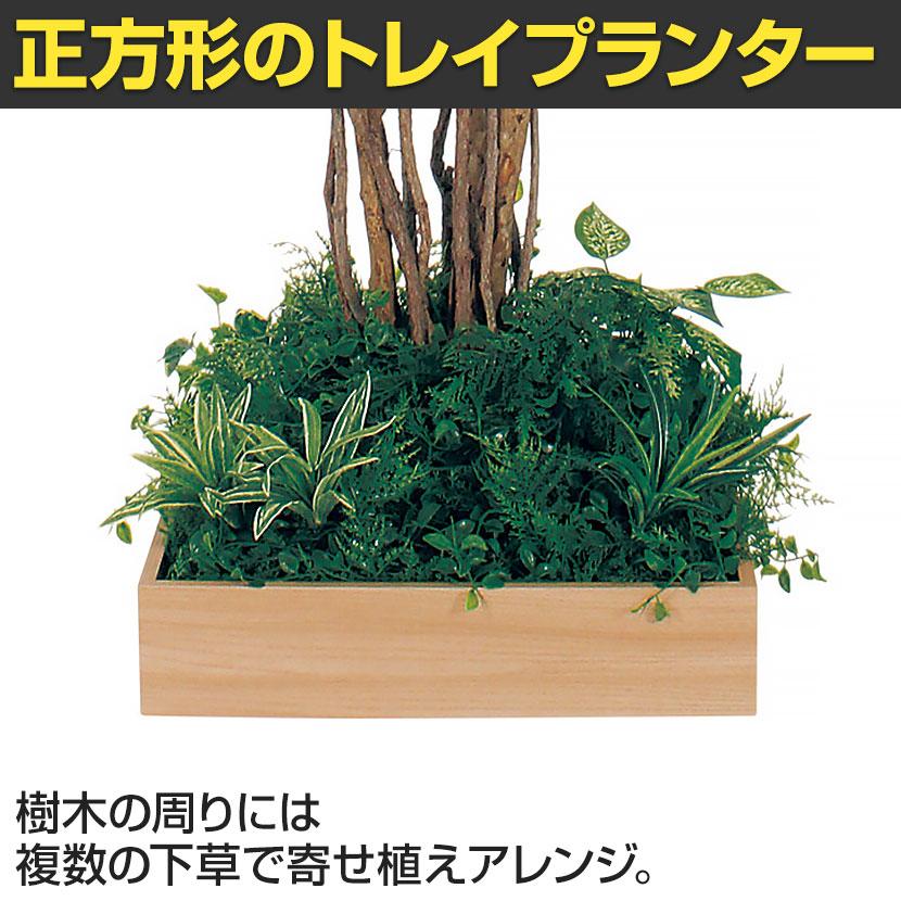 ベルク 土台プランター 450角 フィカスベンジャミン 国産 テーブル樹木 人工観葉植物 フェイクグリーン GR5123 幅1000×奥行1000×高さ1800mm オフィス 休憩室 |  | 06