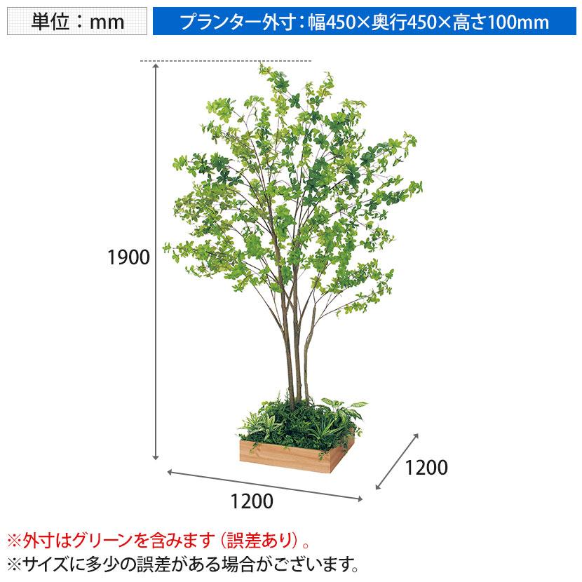 ベルク 土台プランター 450角 ドウダン 国産 テーブル樹木 人工観葉植物 フェイクグリーン GR5124 幅1200×奥行1200×高さ1900mm オフィス 休憩室 |  | 11