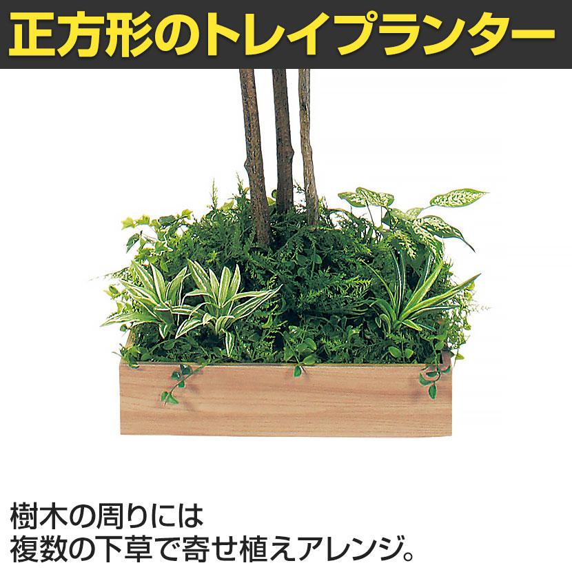 ベルク 土台プランター 450角 ドウダン 国産 テーブル樹木 人工観葉植物 フェイクグリーン GR5124 幅1200×奥行1200×高さ1900mm オフィス 休憩室 |  | 06