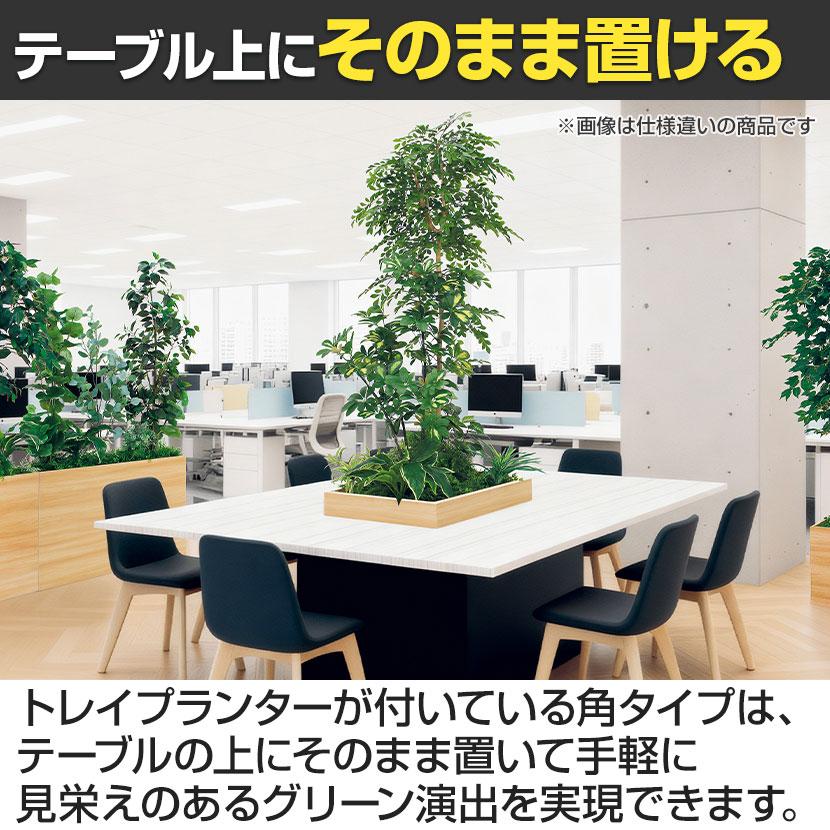 ベルク 土台プランター 450角 ドウダン 国産 テーブル樹木 人工観葉植物 フェイクグリーン GR5124 幅1200×奥行1200×高さ1900mm オフィス 休憩室 |  | 07