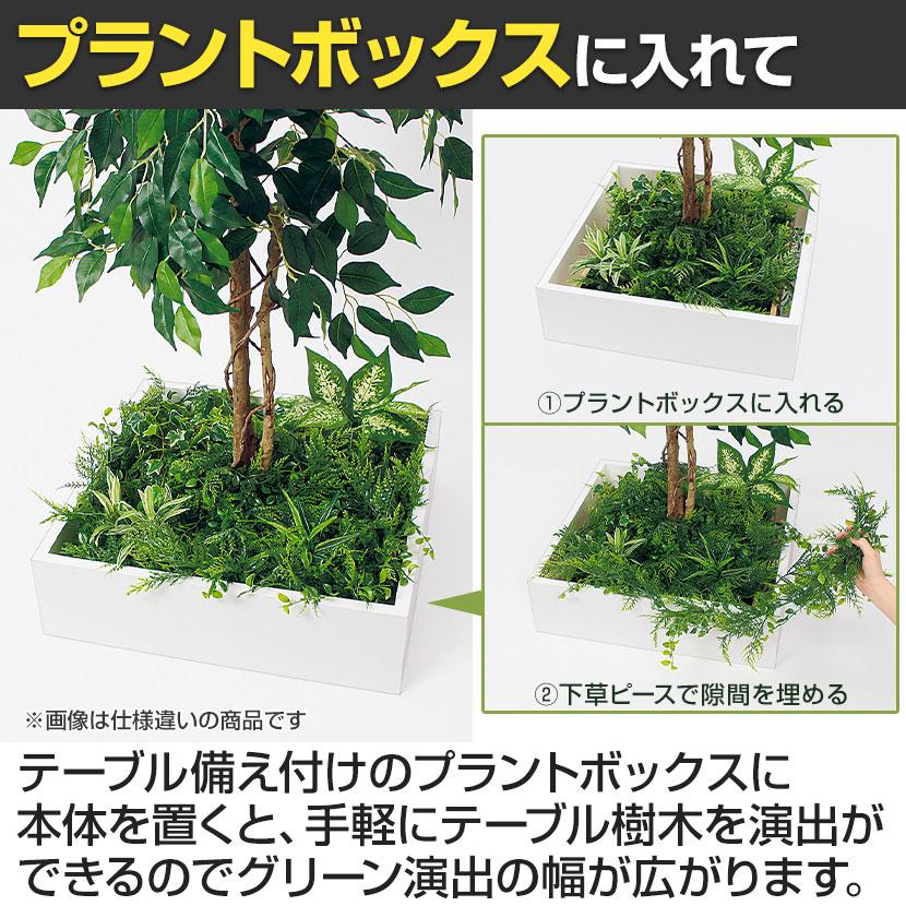 ベルク 土台プランター 450角 ドウダン 国産 テーブル樹木 人工観葉植物 フェイクグリーン GR5124 幅1200×奥行1200×高さ1900mm オフィス 休憩室 |  | 08