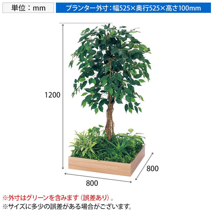 ベルク 土台プランター 530角 フィカスベンジャミン 国産 テーブル樹木 人工観葉植物 フェイクグリーン GR5125 幅800×奥行800×高さ1200mm オフィス 休憩室 |  | 11