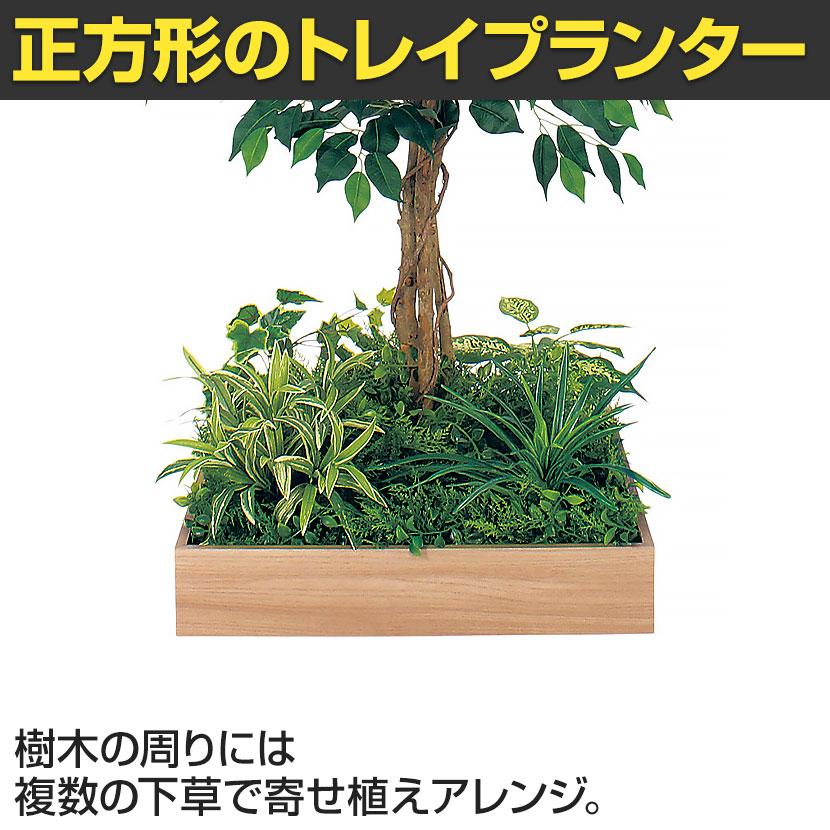 ベルク 土台プランター 530角 フィカスベンジャミン 国産 テーブル樹木 人工観葉植物 フェイクグリーン GR5125 幅800×奥行800×高さ1200mm オフィス 休憩室 |  | 06