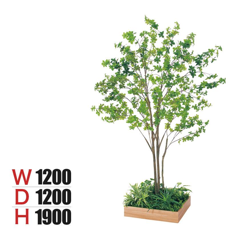 ベルク 土台プランター 530角 ドウダン 国産 テーブル樹木 人工観葉植物 フェイクグリーン GR5128 幅1200×奥行1200×高さ1900mm オフィス 休憩室 | 