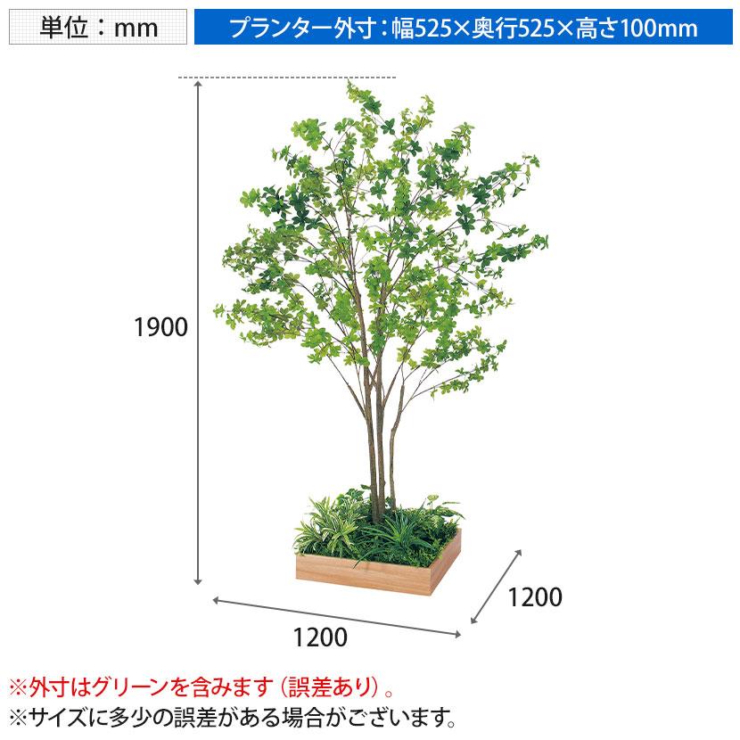 ベルク 土台プランター 530角 ドウダン 国産 テーブル樹木 人工観葉植物 フェイクグリーン GR5128 幅1200×奥行1200×高さ1900mm オフィス 休憩室 |  | 11