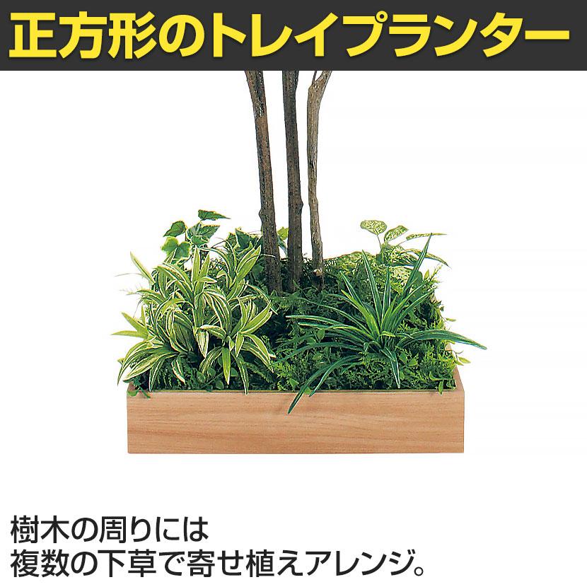 ベルク 土台プランター 530角 ドウダン 国産 テーブル樹木 人工観葉植物 フェイクグリーン GR5128 幅1200×奥行1200×高さ1900mm オフィス 休憩室 |  | 06