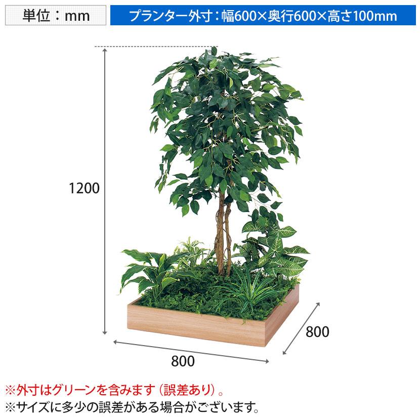 ベルク 土台プランター 600角 フィカスベンジャミン 国産 テーブル樹木 人工観葉植物 フェイクグリーン GR5129 幅800×奥行800×高さ1200mm オフィス 休憩室 |  | 11