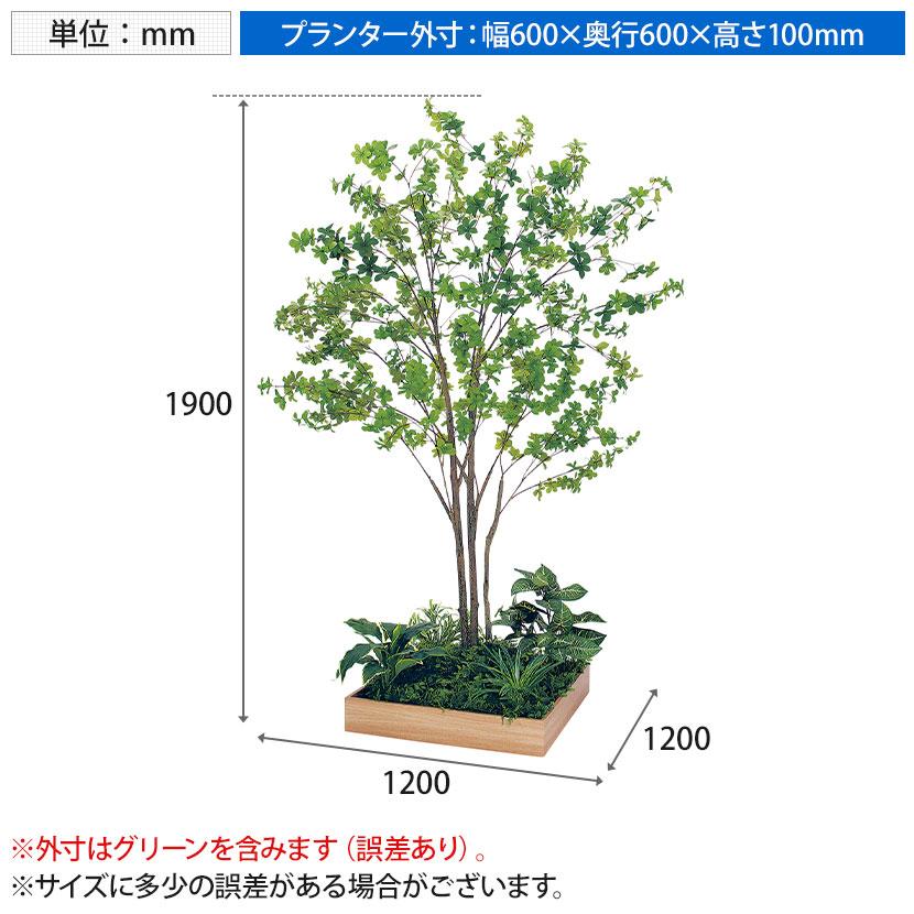 ベルク 土台プランター 600角 ドウダン 国産 テーブル樹木 人工観葉植物 フェイクグリーン GR5132 幅1200×奥行1200×高さ1900mm オフィス 休憩室 |  | 11