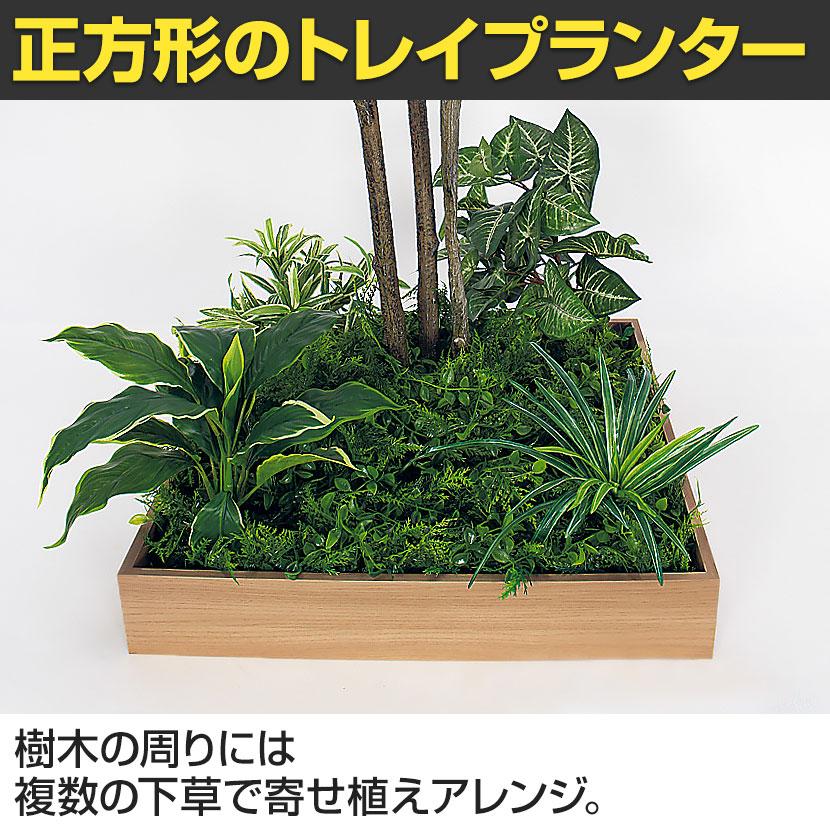 ベルク 土台プランター 600角 ドウダン 国産 テーブル樹木 人工観葉植物 フェイクグリーン GR5132 幅1200×奥行1200×高さ1900mm オフィス 休憩室 |  | 06