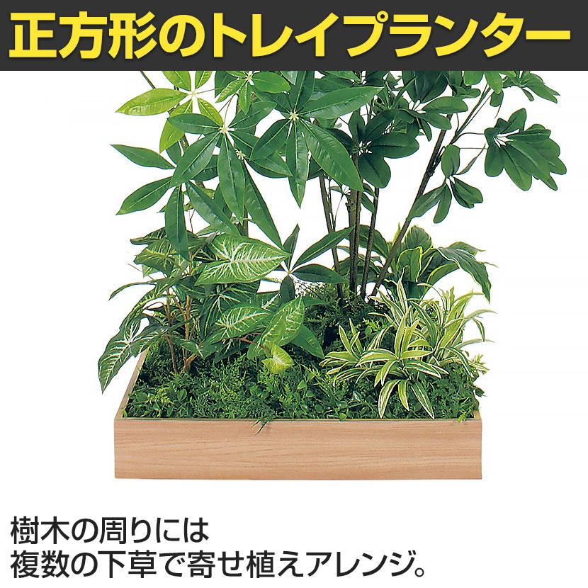 ベルク 土台プランター 600角 パキラ＆シェフレラ 国産 テーブル樹木 人工観葉植物 フェイクグリーン GR5133 幅1200×奥行1200×高さ1500mm オフィス 休憩室 |  | 06