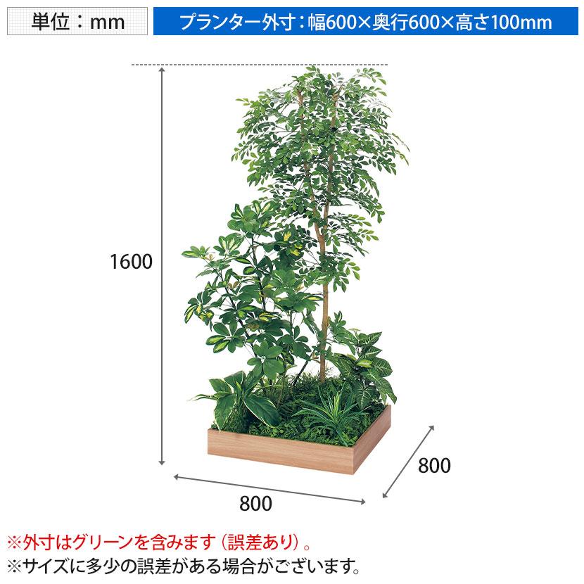 ベルク 土台プランター 600角 トネリコ＆シェフレラ 国産 テーブル樹木 人工観葉植物 フェイクグリーン GR5134 幅800×奥行800×高さ1600mm オフィス 休憩室 |  | 11