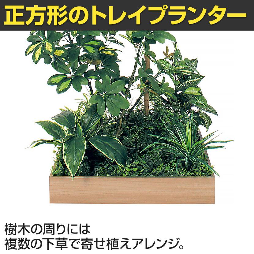 ベルク 土台プランター 600角 トネリコ＆シェフレラ 国産 テーブル樹木 人工観葉植物 フェイクグリーン GR5134 幅800×奥行800×高さ1600mm オフィス 休憩室 |  | 06