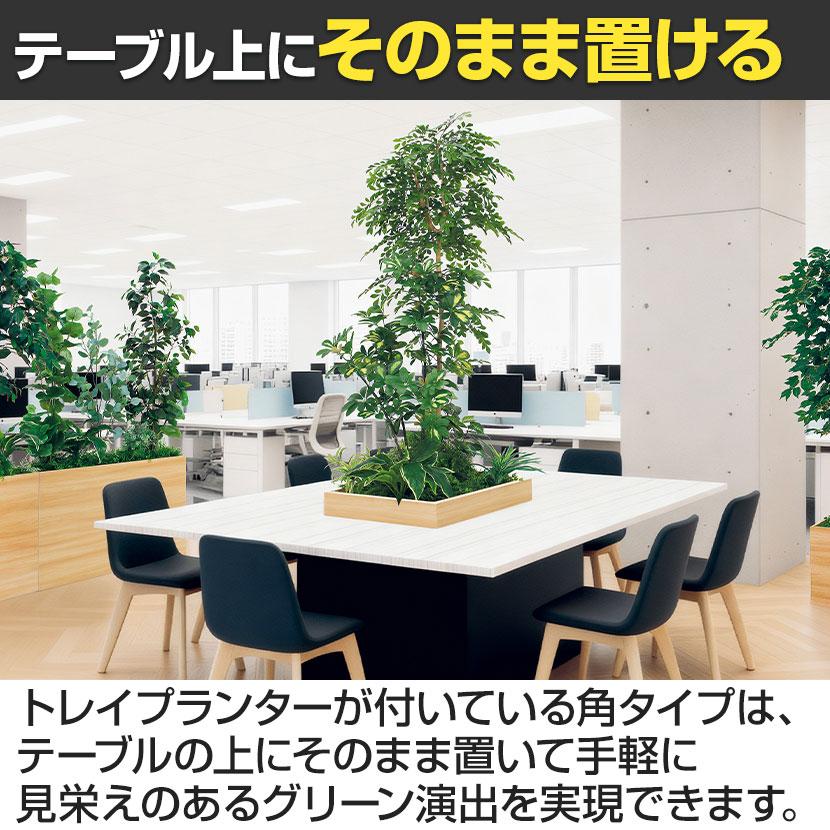 ベルク 土台プランター 600角 トネリコ＆シェフレラ 国産 テーブル樹木 人工観葉植物 フェイクグリーン GR5134 幅800×奥行800×高さ1600mm オフィス 休憩室 |  | 07