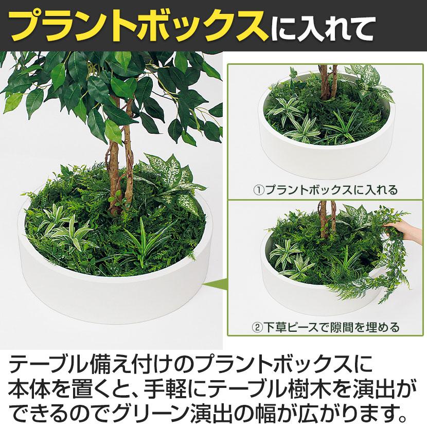 ベルク 土台パネル 450丸型 フィカスベンジャミン 国産 プランター テーブル樹木 人工観葉植物 フェイクグリーン GR5135 直径800×高さ1200mm オフィス 休憩室 |  | 09