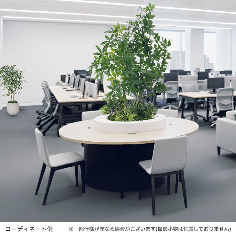 ベルク 土台パネル 450丸型 フィカスベンジャミン 国産 プランター テーブル樹木 人工観葉植物 フェイクグリーン GR5135 直径800×高さ1200mm オフィス 休憩室 |  | 04