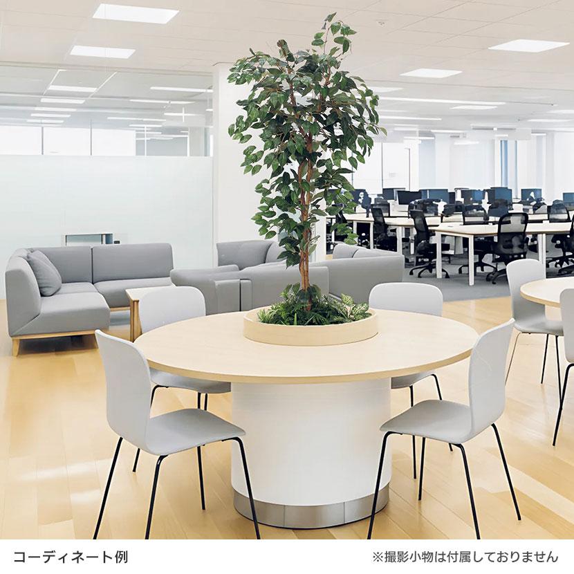 ベルク 土台パネル 450丸型 フィカスベンジャミン 国産 プランター テーブル樹木 人工観葉植物 フェイクグリーン GR5136 直径750×高さ1500mm オフィス 休憩室 |  | 02