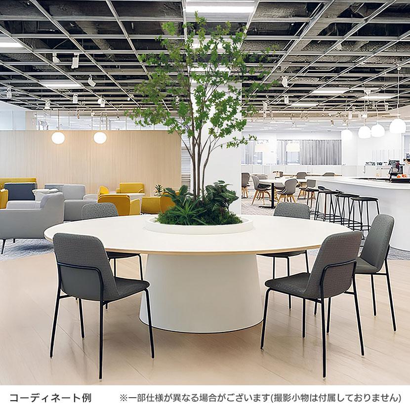 ベルク 土台パネル 450丸型 フィカスベンジャミン 国産 プランター テーブル樹木 人工観葉植物 フェイクグリーン GR5136 直径750×高さ1500mm オフィス 休憩室 |  | 05