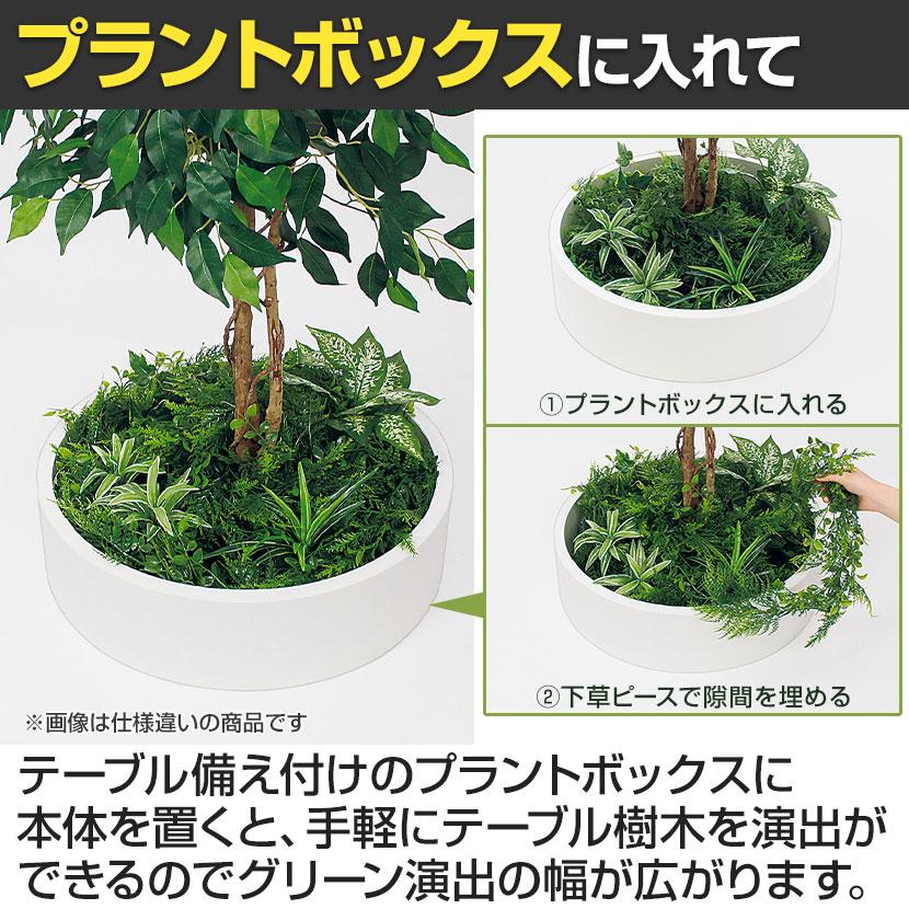 ベルク 土台パネル 600丸型 ドウダン 国産 プランター テーブル樹木 人工観葉植物 フェイクグリーン GR5146 直径1200×高さ1900mm オフィス 休憩室 |  | 09