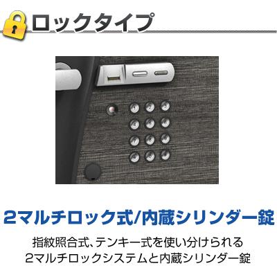 エーコー 家庭用 小型 耐火金庫 指紋認証 テンキー式 プッシュ式 ダブルロック オシャレ ブラック/DFS2-FE | エーコー | 01