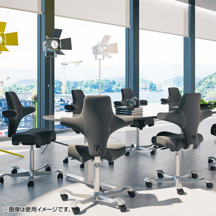 【I】オフィスチェア HAG Capisco ホーグ カピスコ 布張 グレー I】オフィスチェア HAG Capisco ホーグ カピスコ 布張 グレー