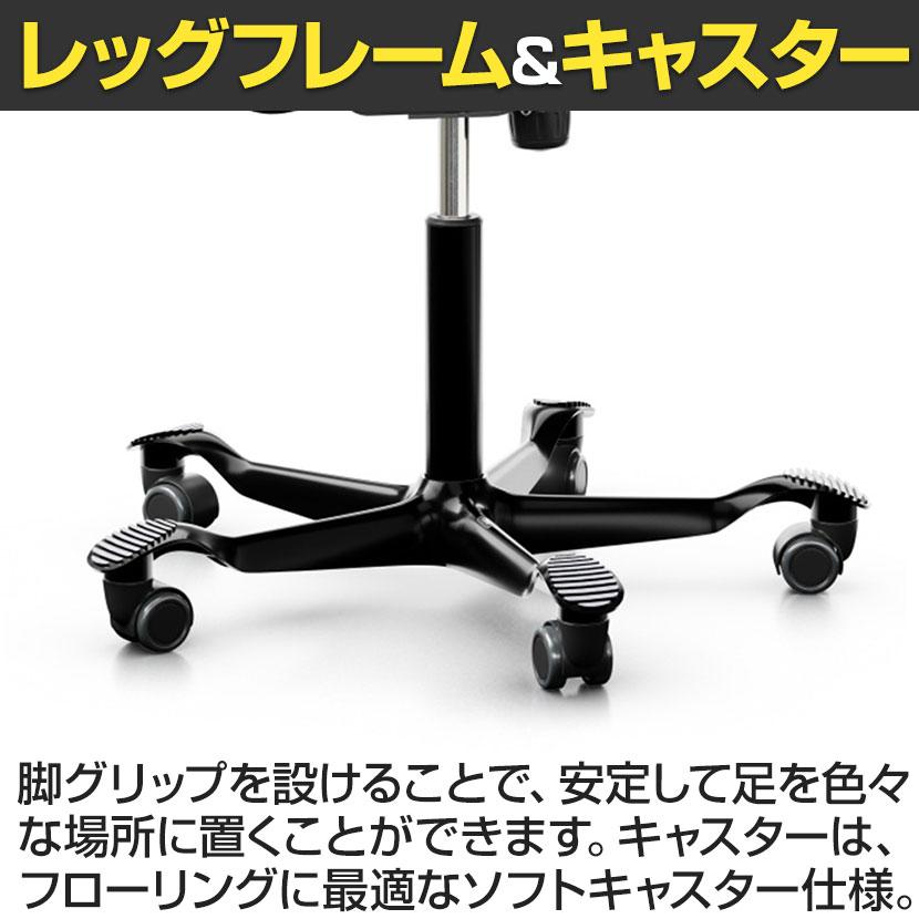 Garage CPP-8010-150 HAG CAPISCO PULS ホーグ カピスコパルス 樹脂