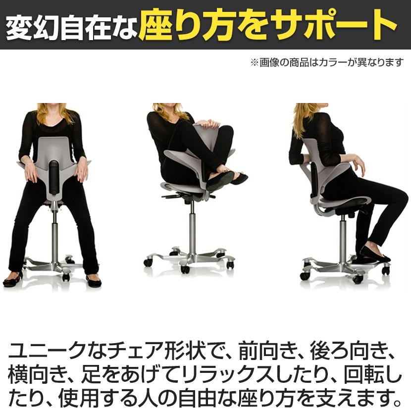 CPP-8010-150 HAG CAPISCO PULS ホーグ カピスコパルス 樹脂タイプ 