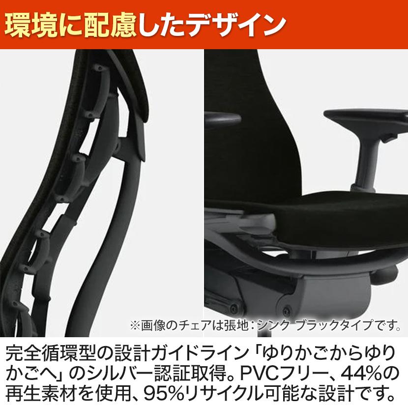 Herman Miller（ハーマンミラー） エンボディチェア Embody Chairs
