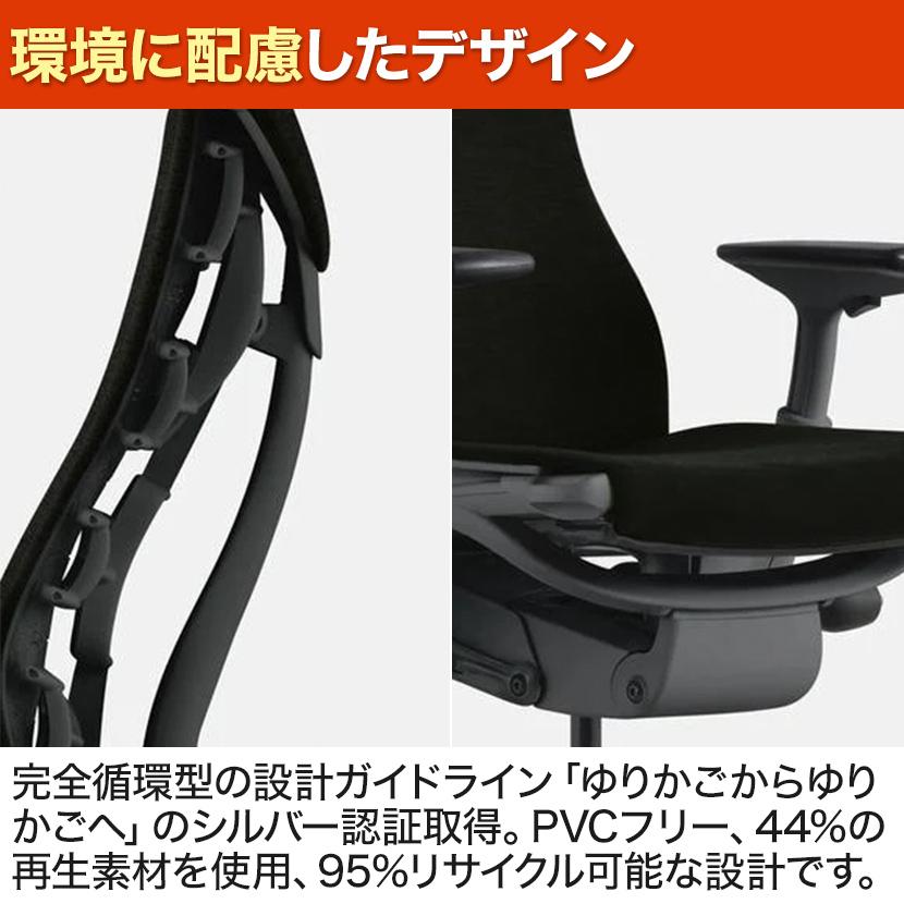 Herman Miller（ハーマンミラー） エンボディチェア Embody Chairs