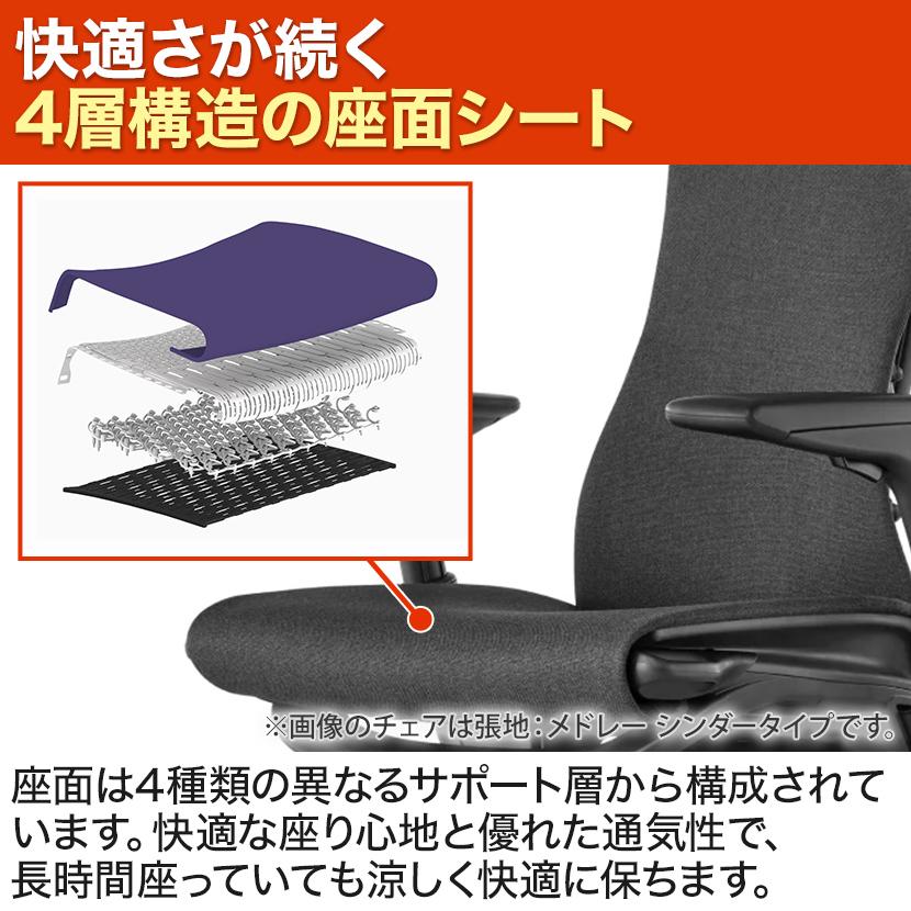 Herman Miller（ハーマンミラー） エンボディチェア Embody Chairs