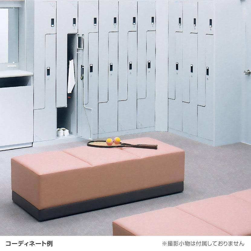 ツインクスロッカー 業務用 2人用 1連2人用 スペース有効活用 コンパクト シリンダー錠 幅300×奥行515×高さ1800mm オフィスロッカー 更衣ロッカー | アイリスチトセ | 02