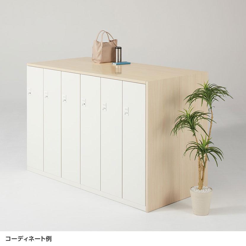 オプション イナバ iprea・TFパーソナルロッカー専用 ベース 下置き用 IPR-ベース OW 41P301 幅900×奥行444×高さ50mmの画像
