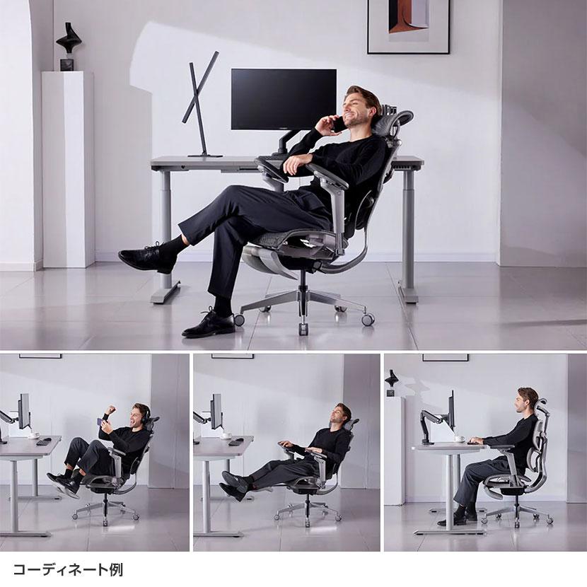 HINOMI エルゴノミクスチェア X2 Pro 4パネル背もたれ レッグレスト