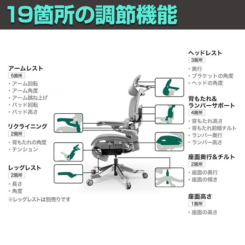エルゴノミクスチェア オフィスチェア ランバー 調節式背もたれ 上下 背もたれ調整 前後調整 ヘッドレスト付き 3Dアームレスト リクライナー 135° デスクとチェア ホームオフィス HINOMI エルゴノミクスチェア H2 Pro 折りたたみ 高適応性ランバー