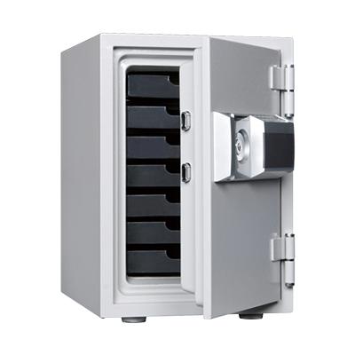 アロワナとの混泳に】シクリッド キクラテメンシス 36㎝±