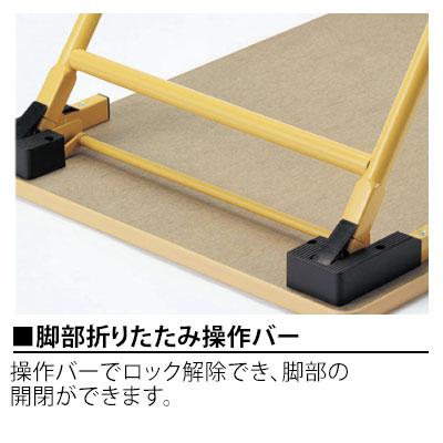 児童・塾・学校向け 折りたたみテーブル 省スペース 薄型 ロータイプ 幅1200×奥行600×高さ450mm 国産_3