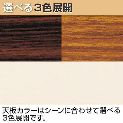 会議用テーブル 会議机 長テーブル 会議テーブル 長机 ミーティングテーブル 脚折式 共巻 棚無し 【ナイロン】 幅1500×奥行450mm KT-1545TN
