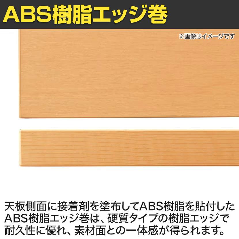 大型テーブル 会議テーブル ワイヤリングボックスなし 抗菌天板 国産 幅2800×奥行1200×高さ720mm VTW-2812の画像