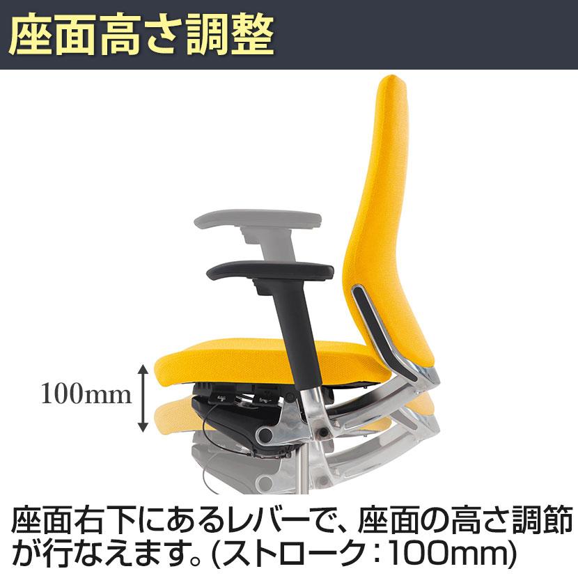 オカムラ オフィスチェア コーラル ハイバック メッシュタイプ 可動肘 デスクチェア ポリッシュフレーム ブラックボディ CQ85BR 革張り ブラック FK61_11