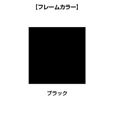 オプション XP-069DFP-Q XF DESK TYPE-L XFデスク タイプL デスクパネル 光触媒クロス ファンクションビーム用 ブラックフレーム 幅600×高さ960mm プラス(PLUS)_2