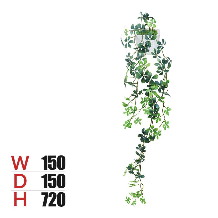 アートクリエイション 観葉植物 壁掛けシュガ-バイン フェイクグリーン 光触媒加工 528K65 | ポピー