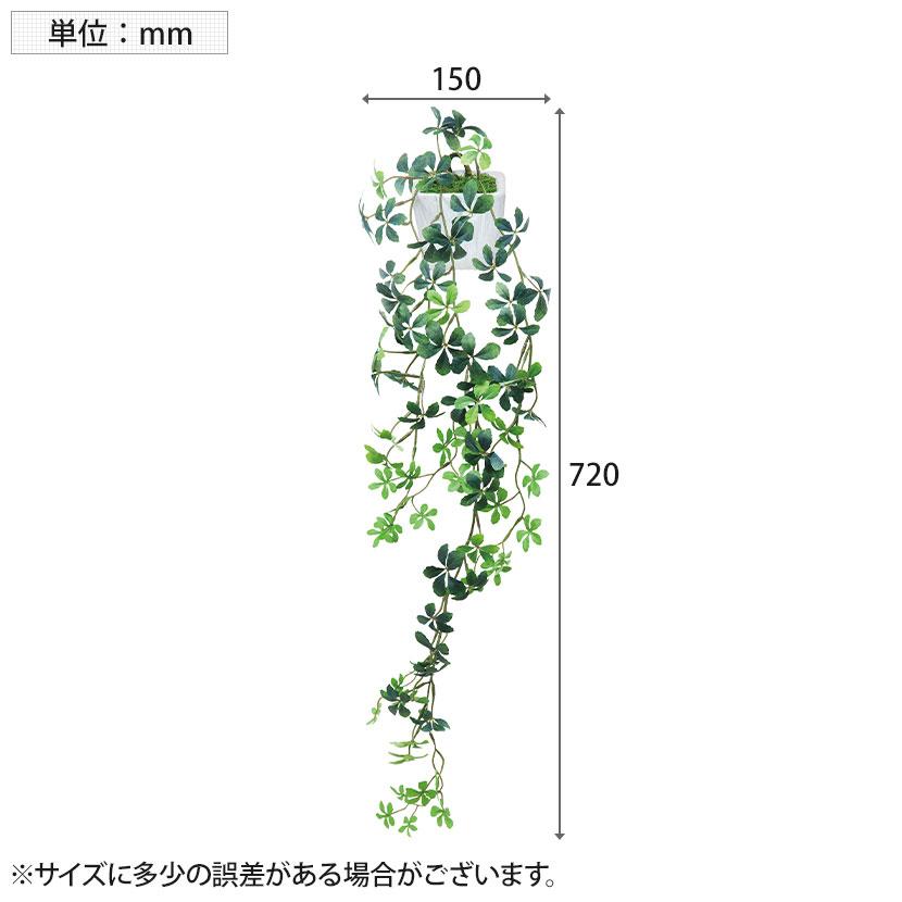 アートクリエイション 観葉植物 壁掛けシュガ-バイン フェイクグリーン 光触媒加工 528K65 | ポピー | 02