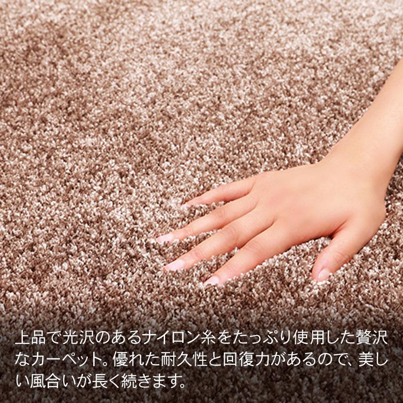プレーベル 日本製 カーペット 絨毯 ラグ ジェイド 約3畳 無地 シンプル おしゃれ 防炎 ホットカーペット 床暖房対応 幅1900×長さ2400mmの画像