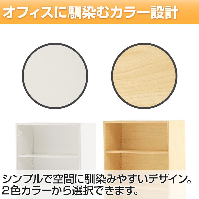 アール・エフ・ヤマカワ ローシェルフ 可動棚 両開き書庫 共通扉付き