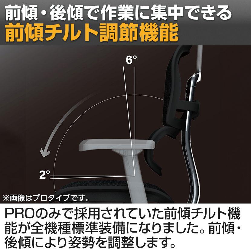 エルゴヒューマン（Ergohuman） ブラック×ブラック12月下旬 グレー