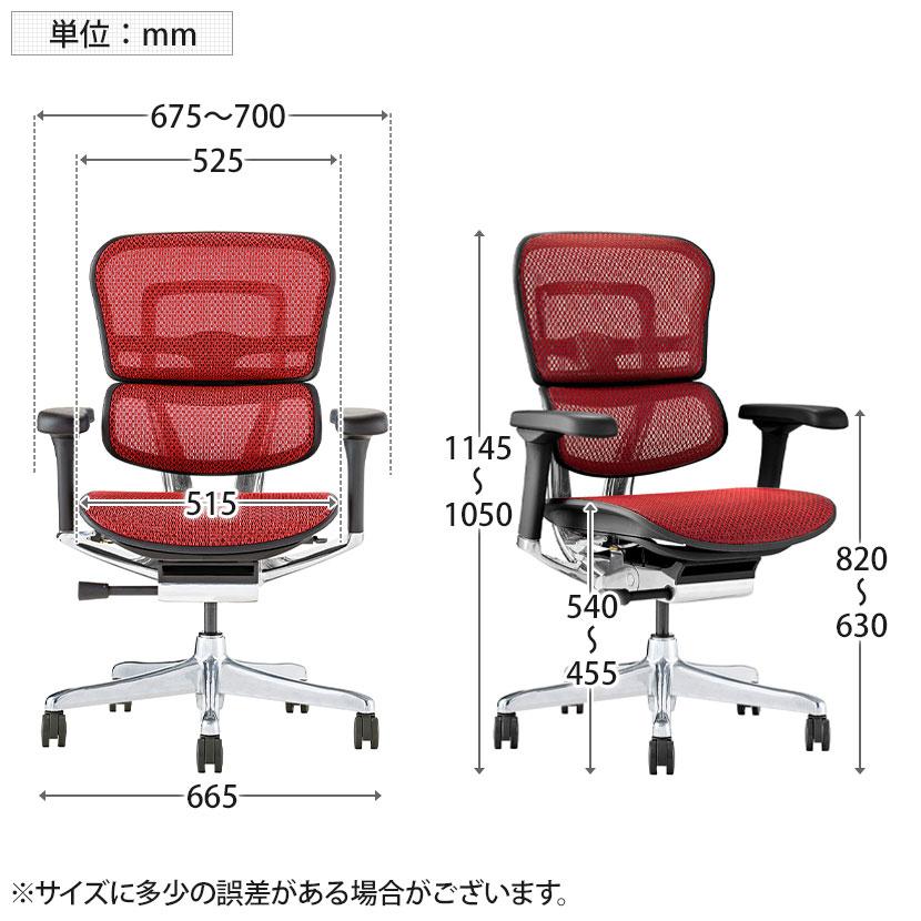 エルゴヒューマン（Ergohuman） プロ2 Ergohuman PRO2 新基盤 ロー