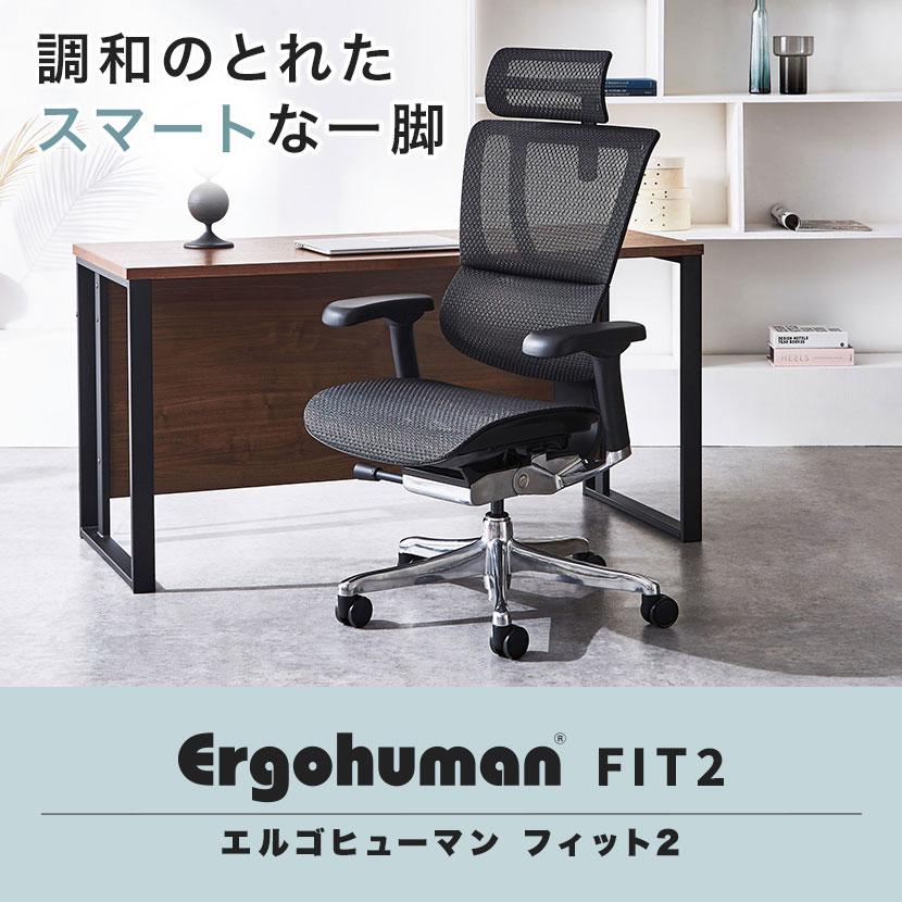 [ST1095] 中古　Ergohuman エルゴヒューマン スマート 肘無しオフィスチェア リクライニング メッシュ　ブルー 現状販売　神田店舗 エルゴヒューマン - 中古オフィス家具ならオフィスバスターズ