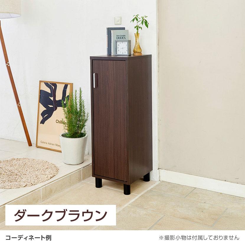 白井産業 シューズボックス 下駄箱 スリム コンパクト 約6足収納